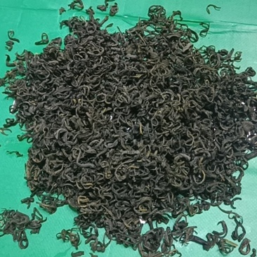 湄潭毛峰