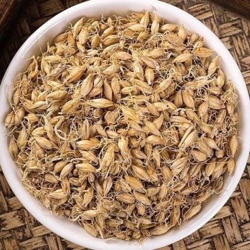 麦芽齐全批发零售量大从优