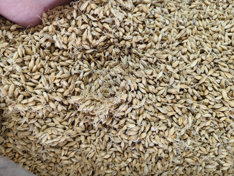 麦芽齐全批发零售量大从优
