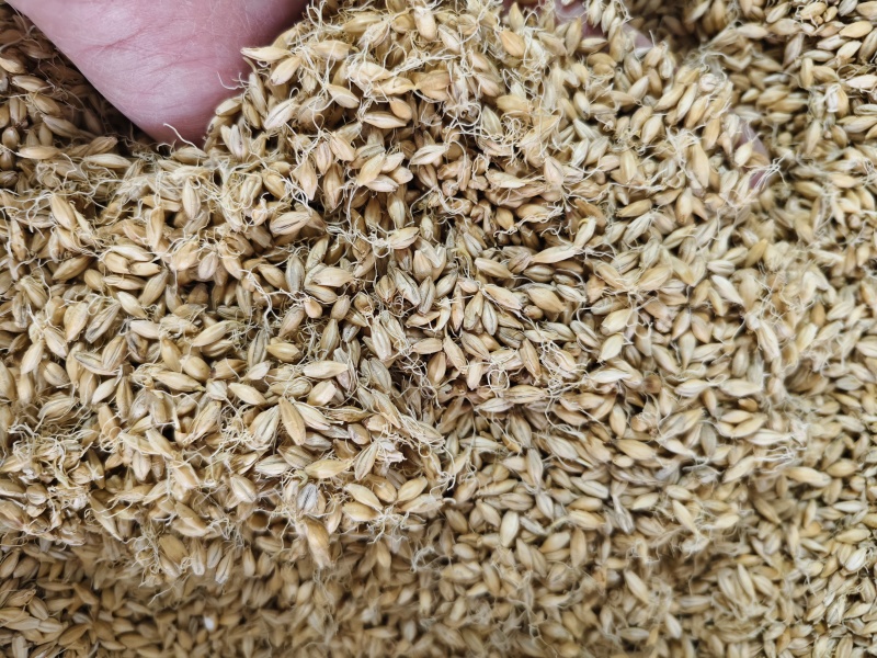 麦芽齐全批发零售量大从优