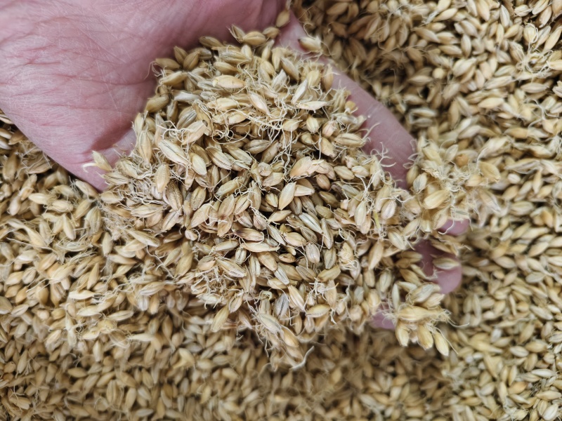 麦芽齐全批发零售量大从优
