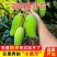 海南三亚象牙芒果，一件代发批发零售工厂，一级二级工厂货