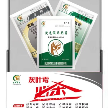 灰霉病绝招对草莓番茄蔬菜的抗性灰霉病特别见效一次控制2次
