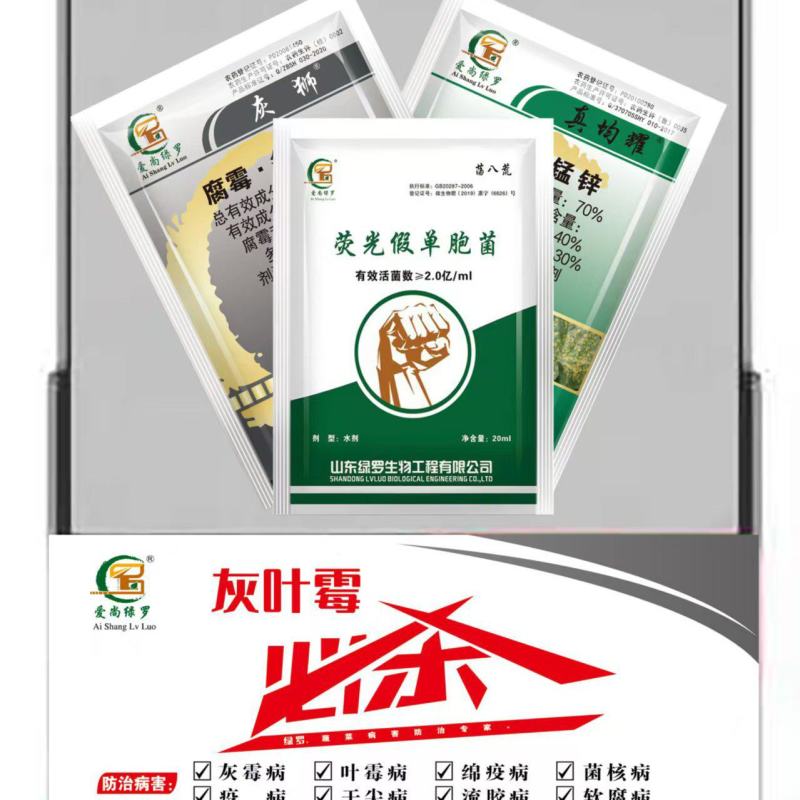 灰霉病绝招对草莓番茄蔬菜的抗性灰霉病特别见效一次控制2次