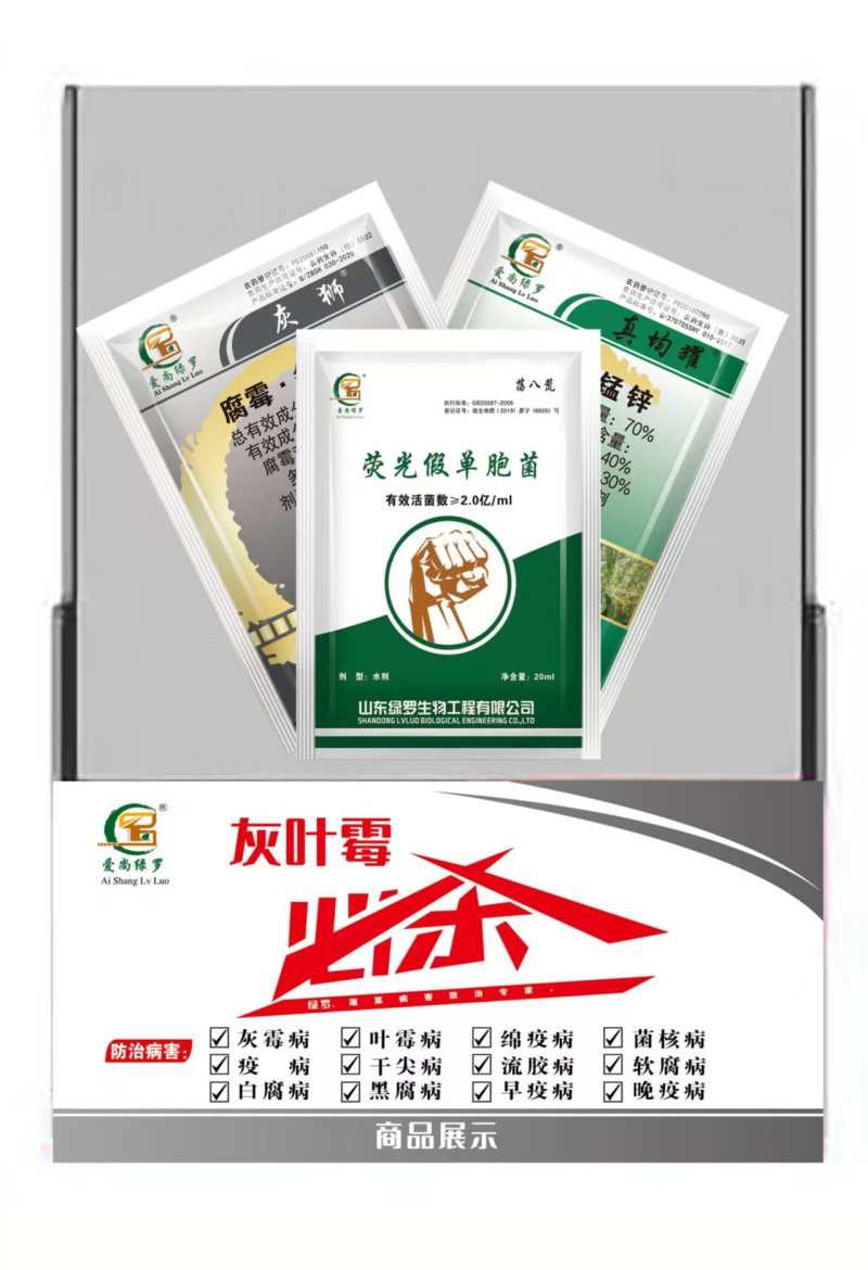 灰霉病绝招对草莓番茄蔬菜的抗性灰霉病特别见效一次控制2次