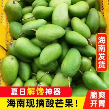 海南三亚台农芒果，对接一件代发，工厂批发