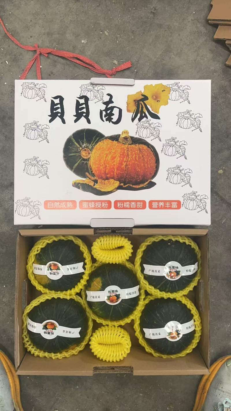 贝贝南瓜礼盒