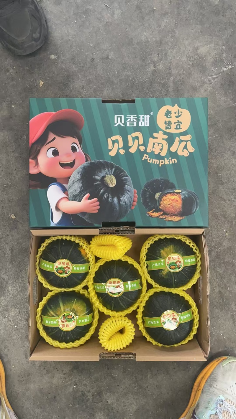 贝贝南瓜礼盒