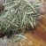 花生秧，麦秸，河南省南阳市新野县上车一手货源，量大从优