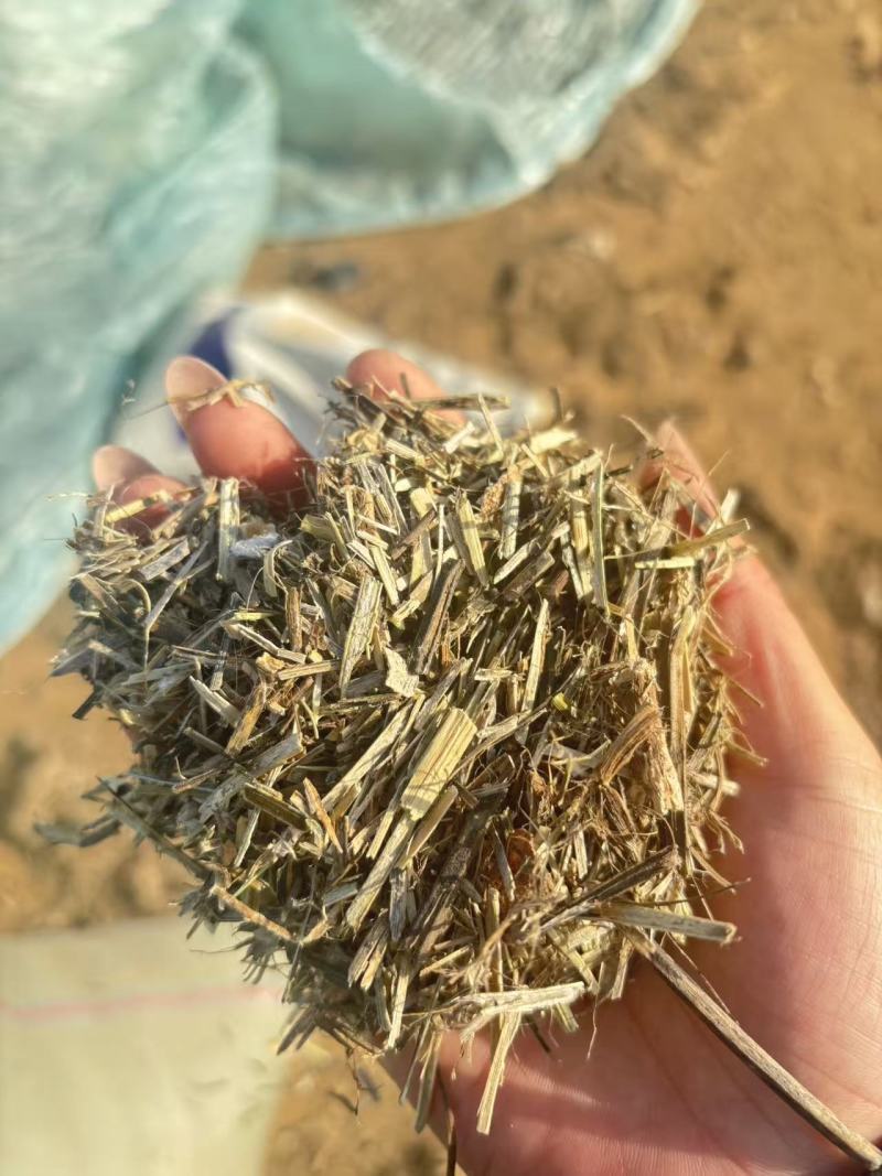 花生秧，麦秸，河南省南阳市新野县上车一手货源，量大从优