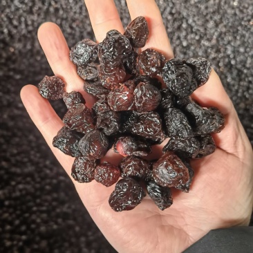 车厘子干大樱桃干