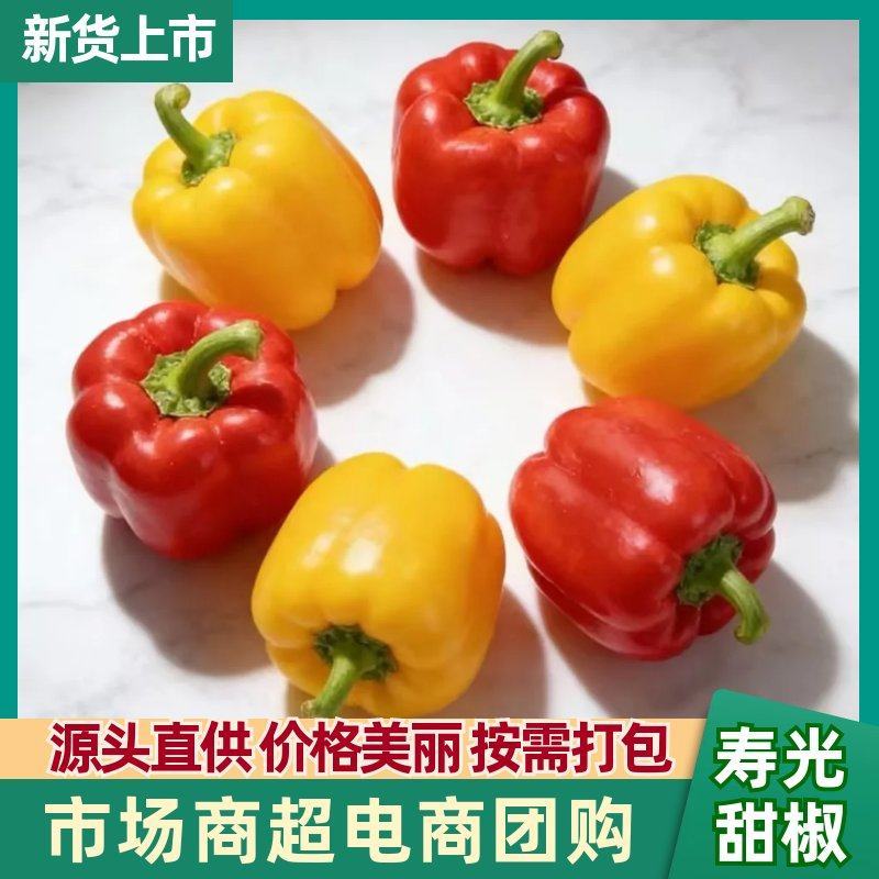 山东水果甜椒五彩椒甜椒规格齐全产地直发欢迎咨询
