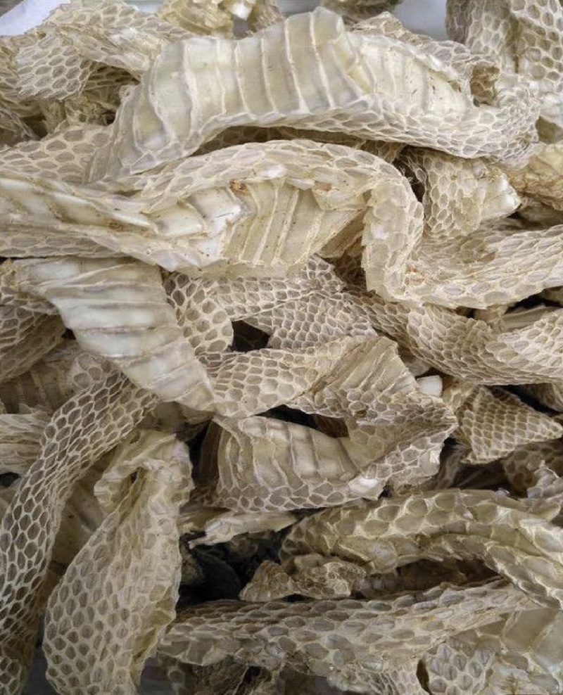 蛇蜕龙衣优质正品无沙干净一件代发货源稳定长期有货