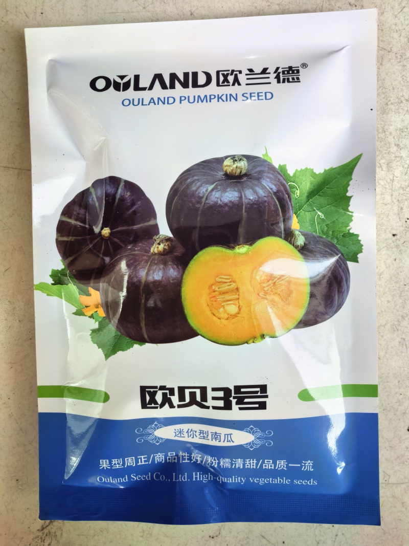 欧贝3号贝贝南瓜种子迷你小贝贝南瓜粉糯香甜板栗南瓜种子籽