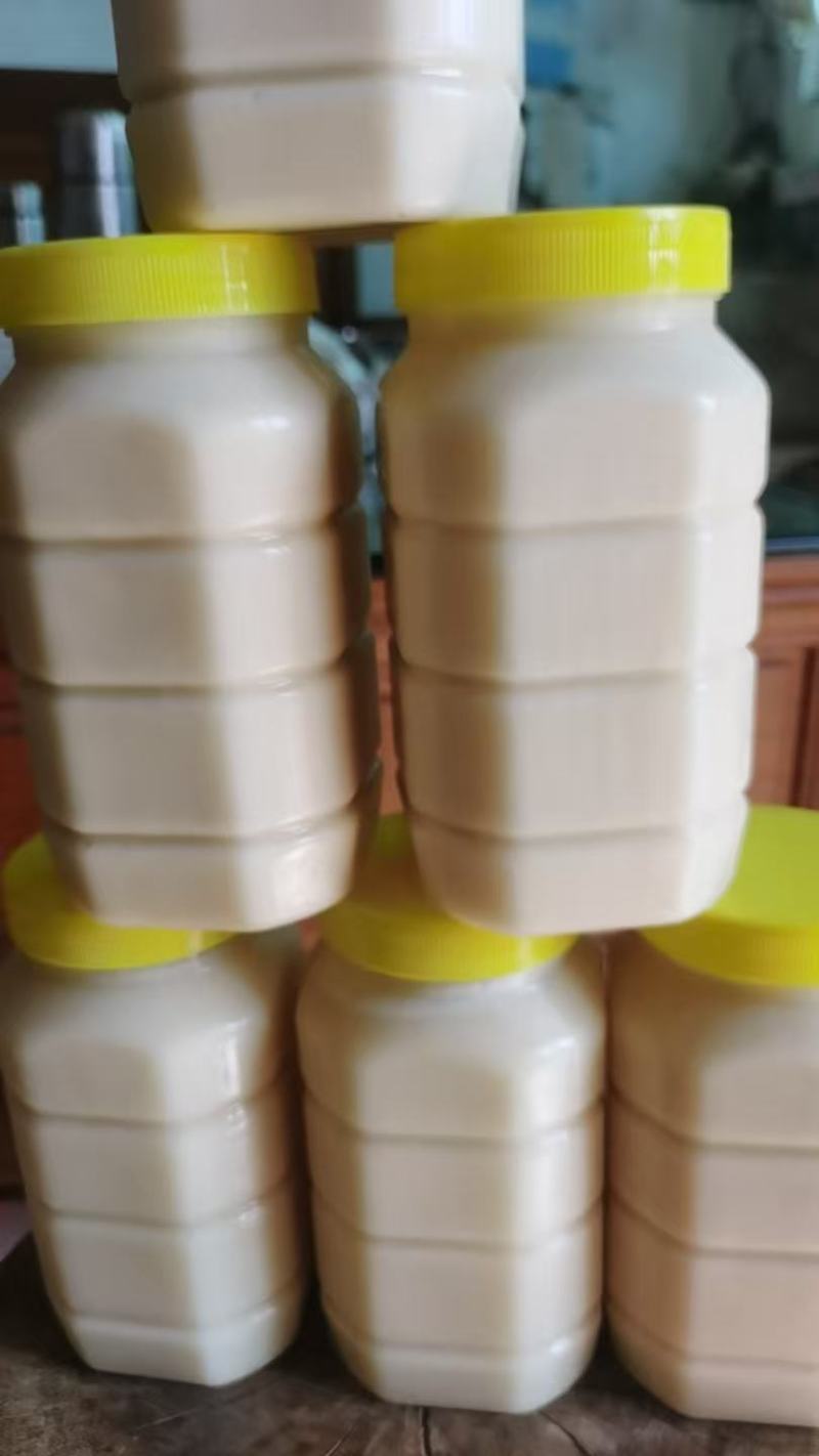 广东鸭脚木冬蜜，新鲜上市，农家自产自销，量大从优，欢迎咨询