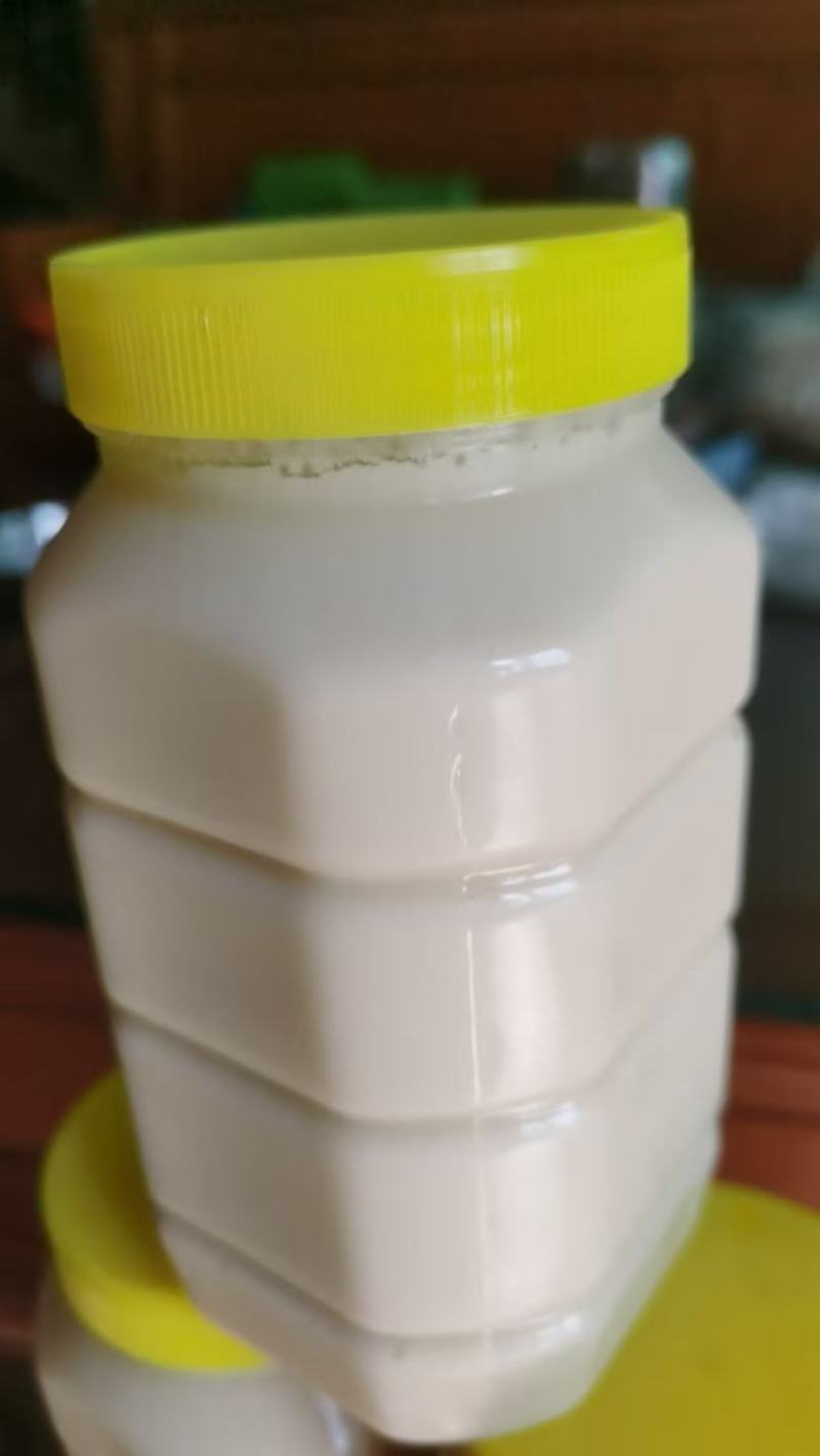 广东鸭脚木冬蜜，新鲜上市，农家自产自销，量大从优，欢迎咨询