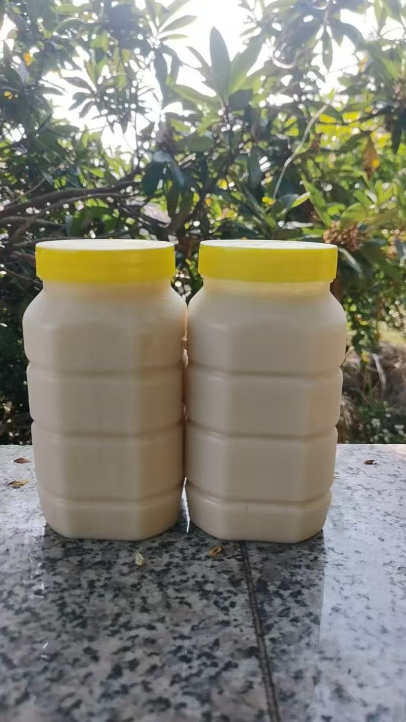 广东鸭脚木冬蜜，新鲜上市，农家自产自销，量大从优，欢迎咨询