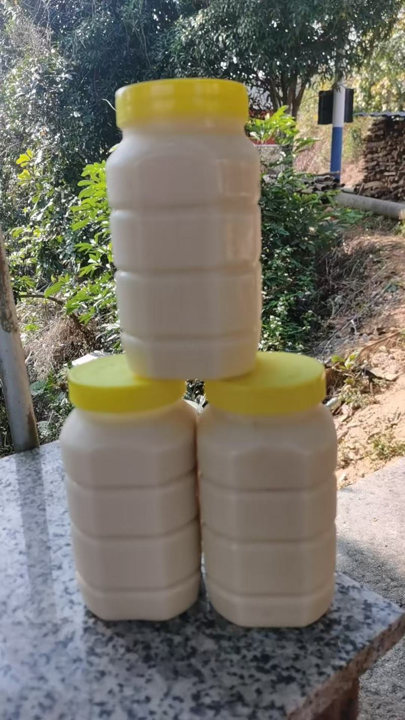 广东鸭脚木冬蜜，新鲜上市，农家自产自销，量大从优，欢迎咨询