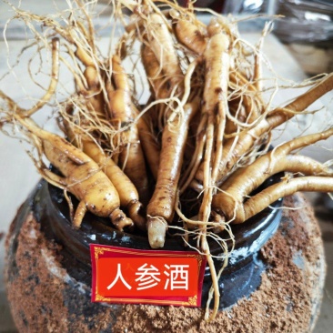 人参地窖酒