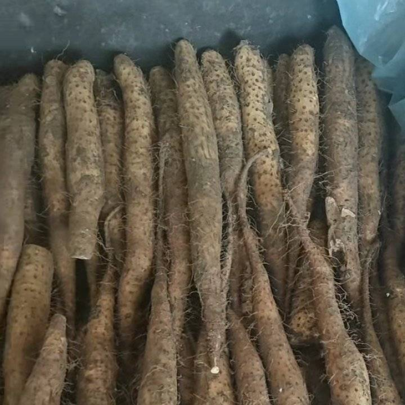 【推荐】河北麻山药白玉山药产地直发可视频看货对接全国