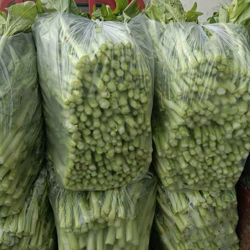 油菜苔