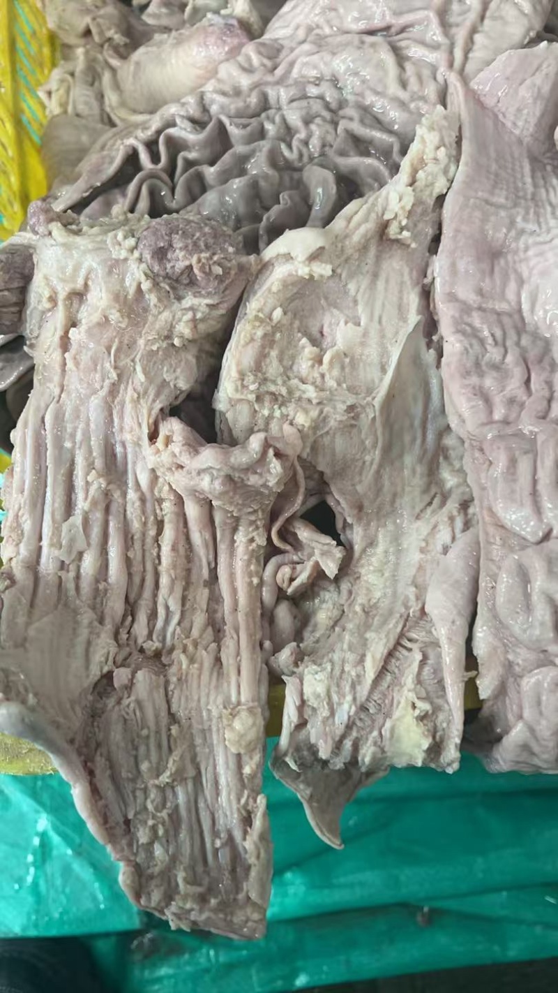 精品牛伞代、去油，煮半熟