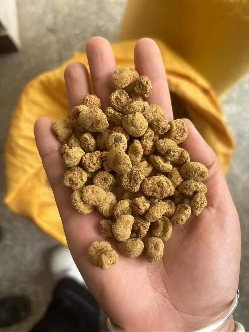 陕西产地供应元胡，干货湿货都有，量大从优，欢迎咨询