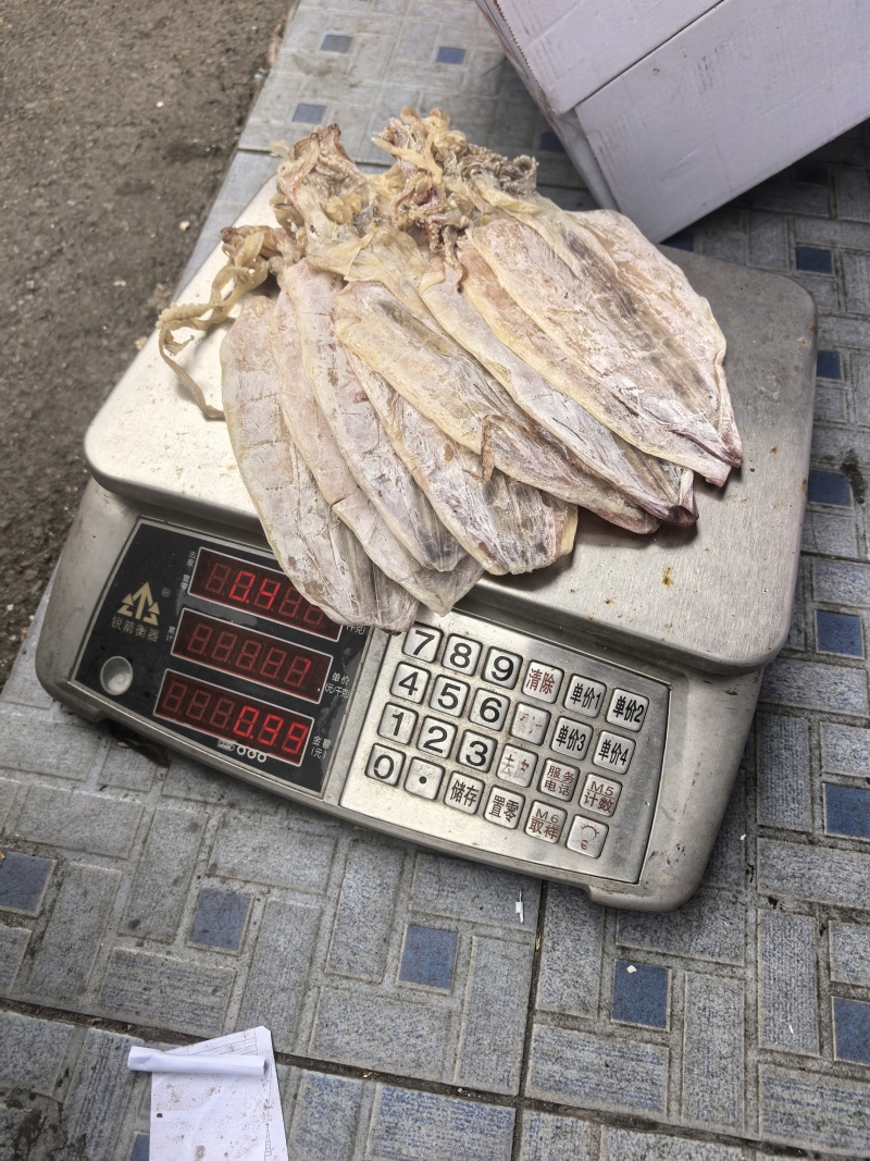 1AAAA芥末鱿鱼