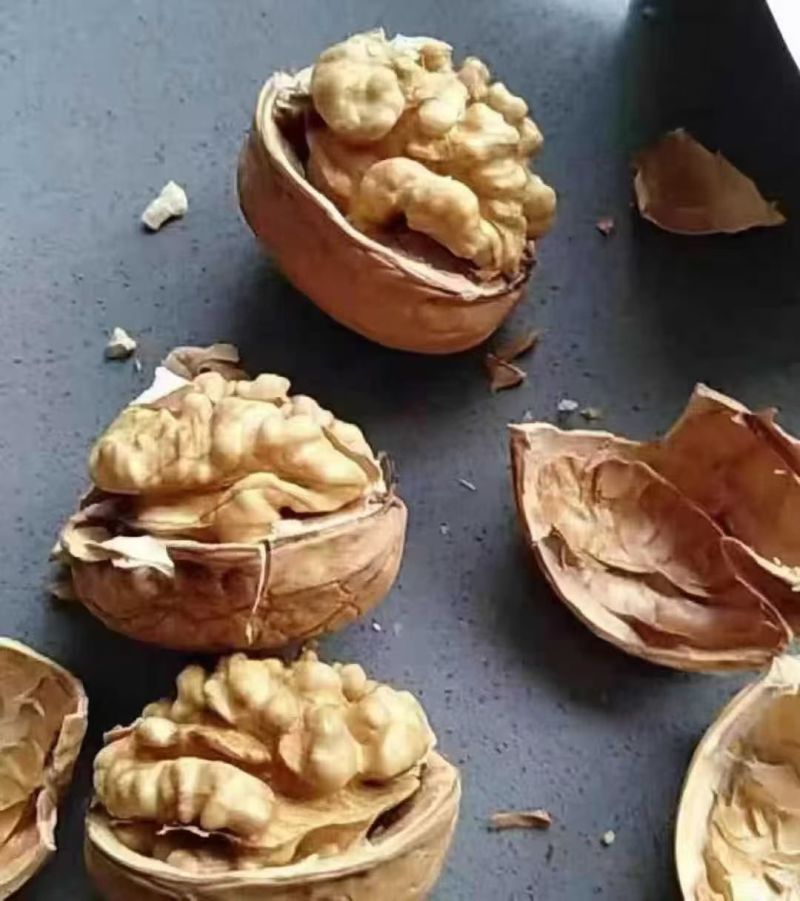 浙江义乌大量批发核桃