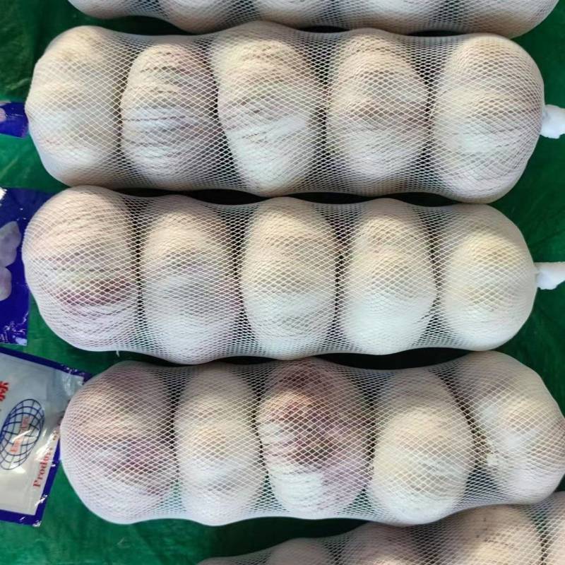 精品蒜大量有货基地直供品质优可视频看货热卖中