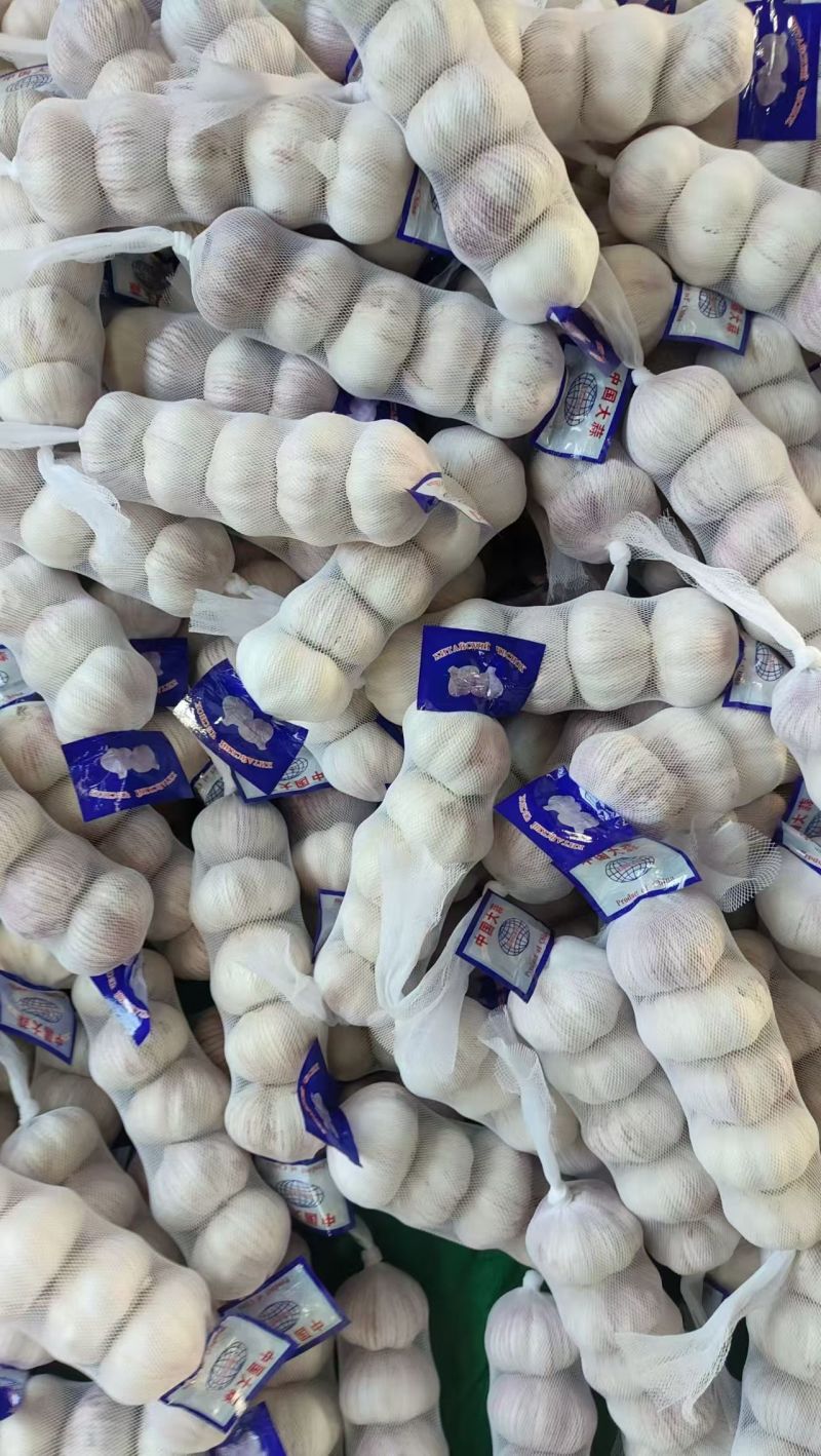 精品蒜大量有货基地直供品质优可视频看货热卖中