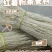 湖南毛坪纯手工红薯粉条13.5元/斤，1000斤起批