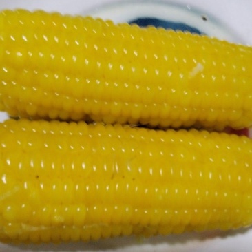 冷冻玉米（不是真空）