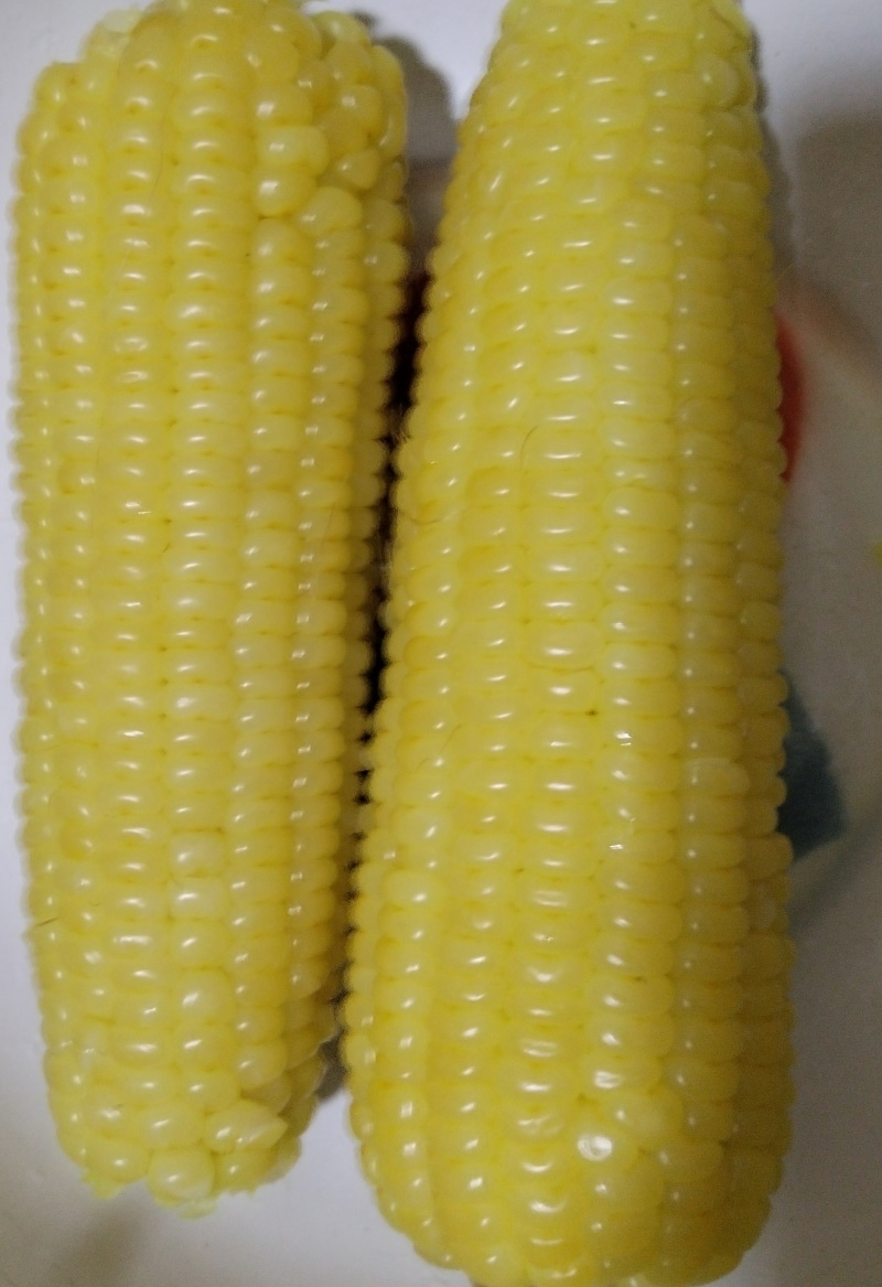 冷冻玉米（不是真空）