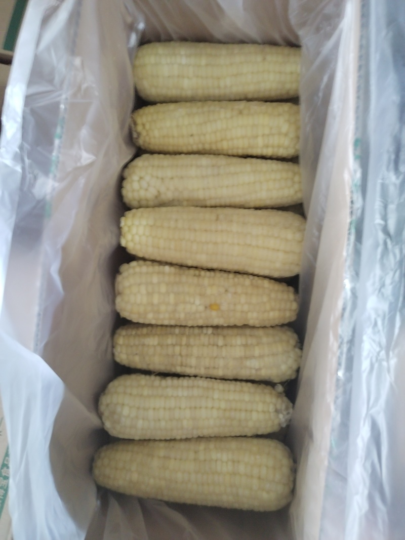 冷冻玉米（不是真空）