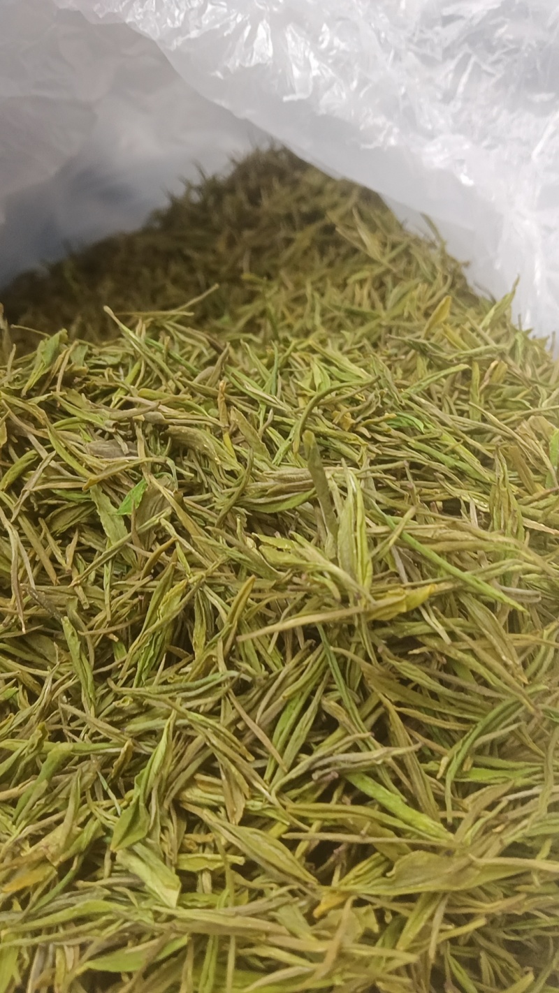 l安吉白茶、金香玉白茶、黄金茶l△