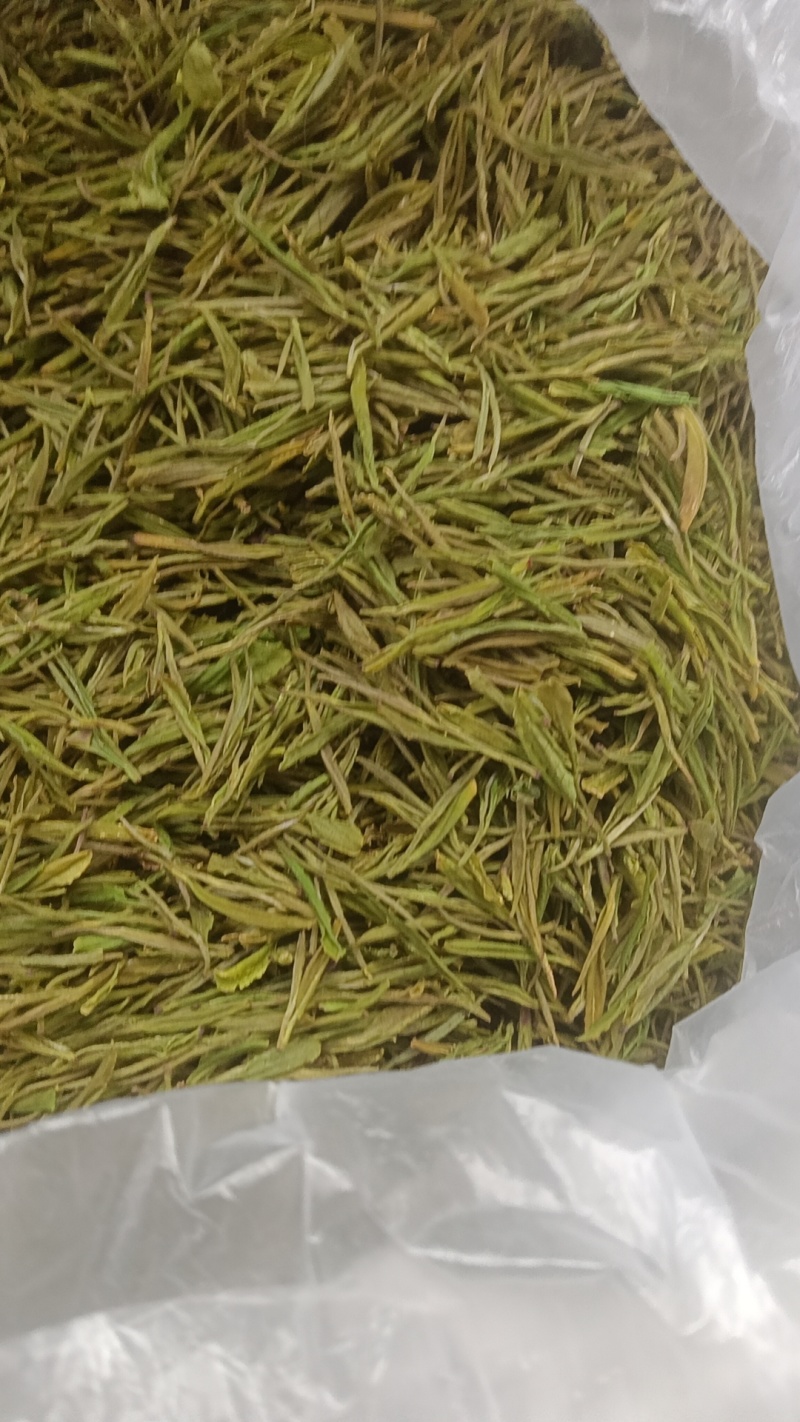 l安吉白茶、金香玉白茶、黄金茶l△