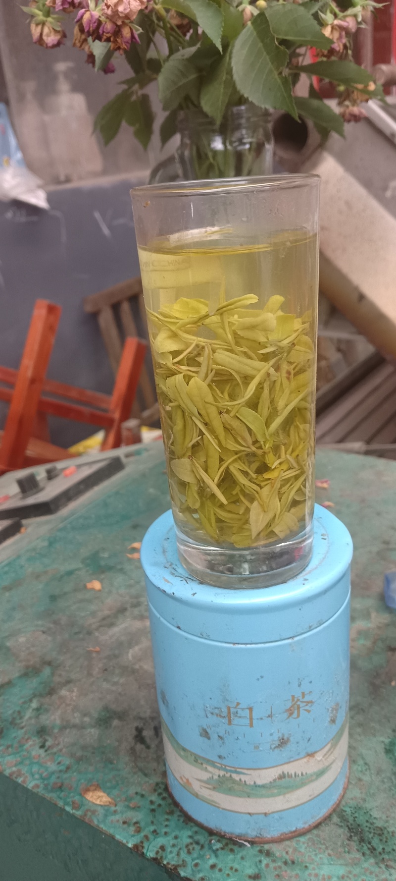 l安吉白茶、金香玉白茶、黄金茶l△