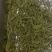 l安吉白茶、金香玉白茶、黄金茶l△
