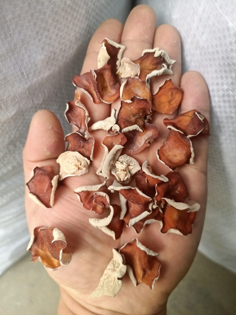 粉木耳种植基地粉耳栽培基地粉木耳养殖场粉木耳大货粉木耳现