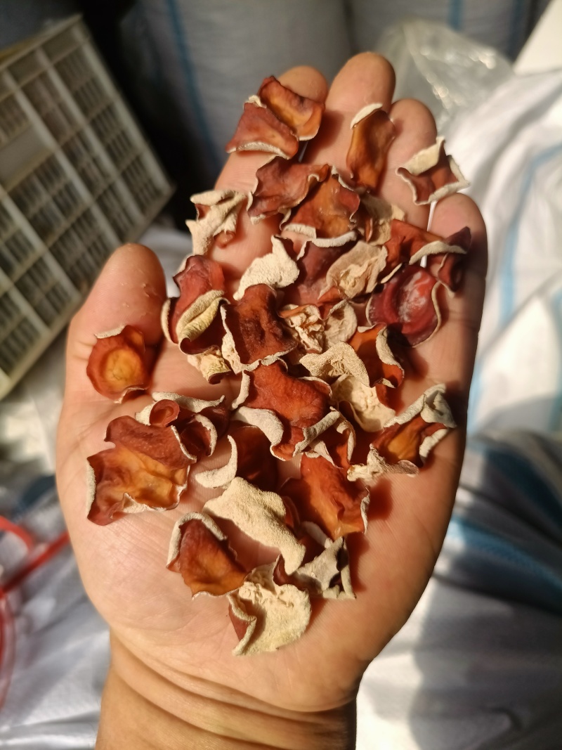 粉木耳种植基地粉耳栽培基地粉木耳养殖场粉木耳大货粉木耳现