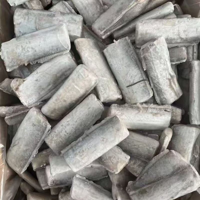 渤海湾刀鱼