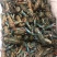 蓝龙龙虾大量现供应(一手货源)量大价优,欢迎电联