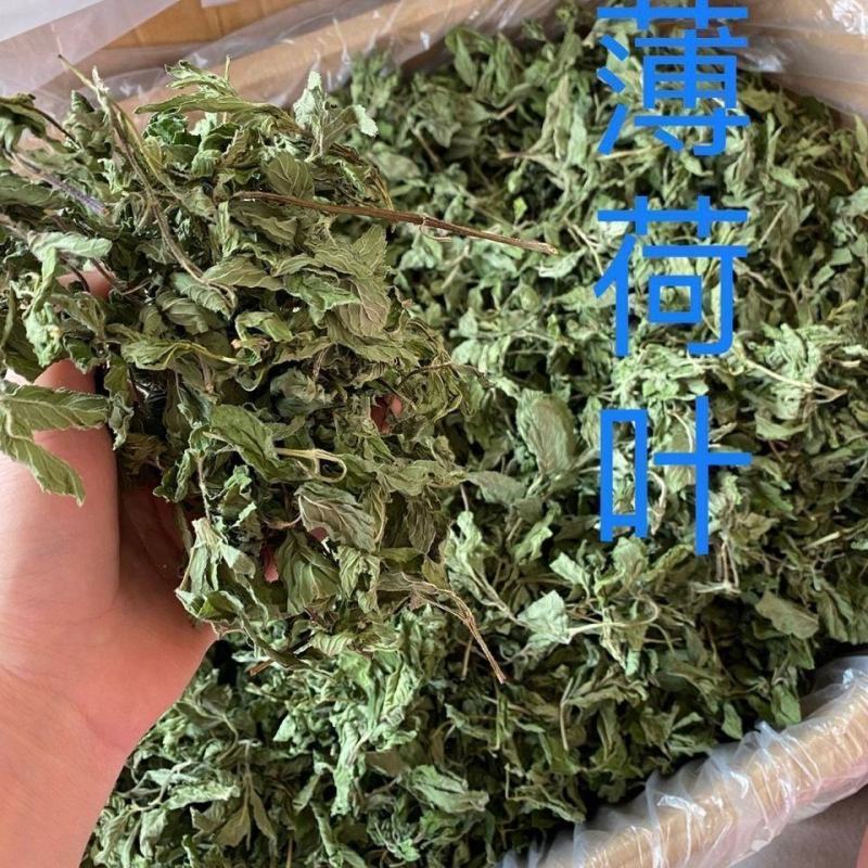 中药材薄荷精选薄荷叶全棵薄荷干野生薄荷梗泡茶煲汤批发零售