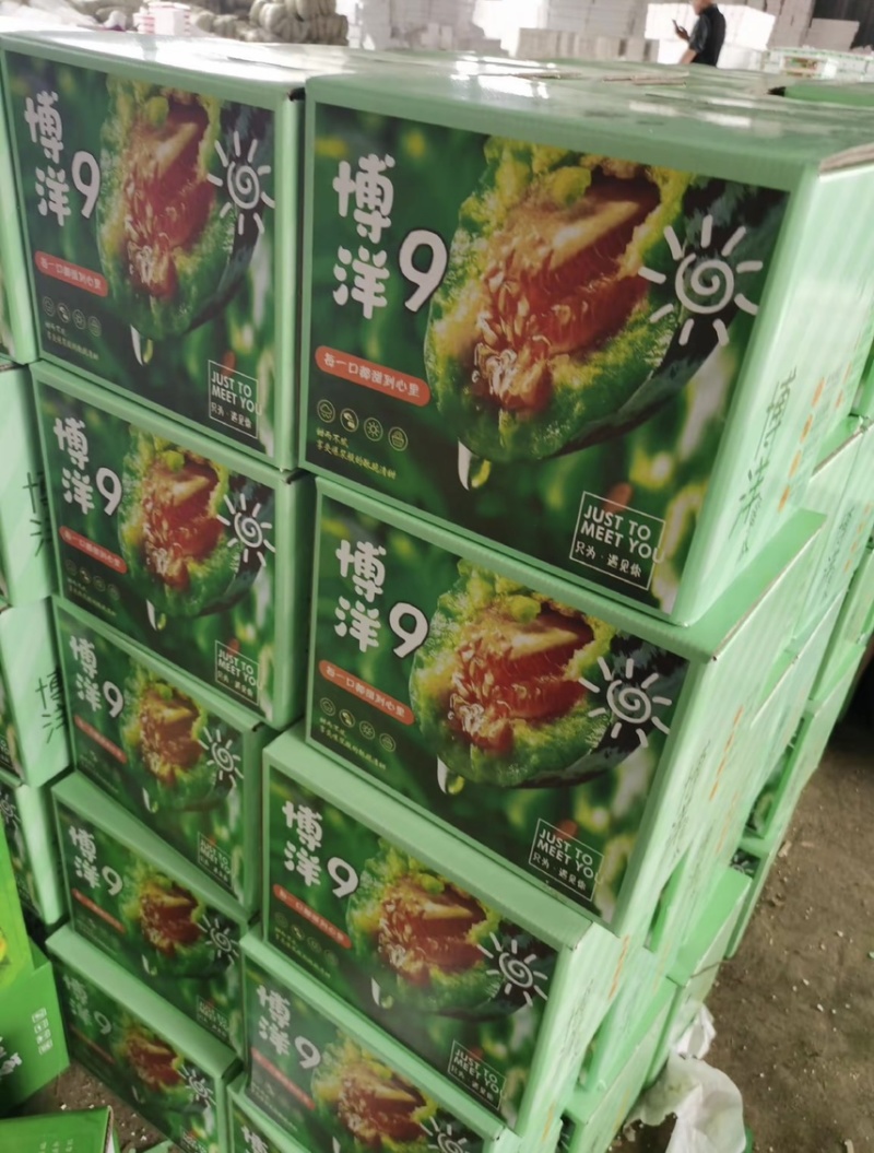 山东羊角蜜一件代发供应链抖音快手多多京淘直播全平台出单