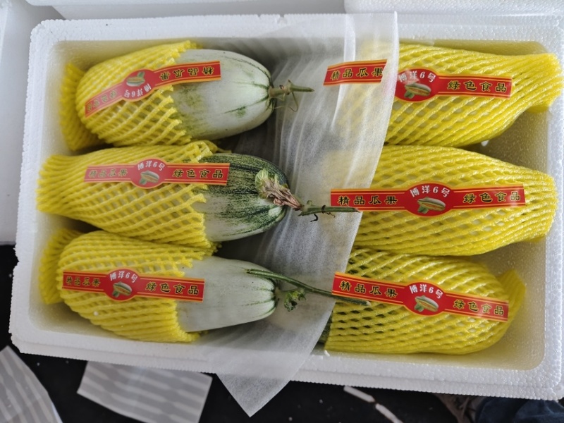 山东羊角蜜甜瓜博洋系列对接市场商超团购集采
