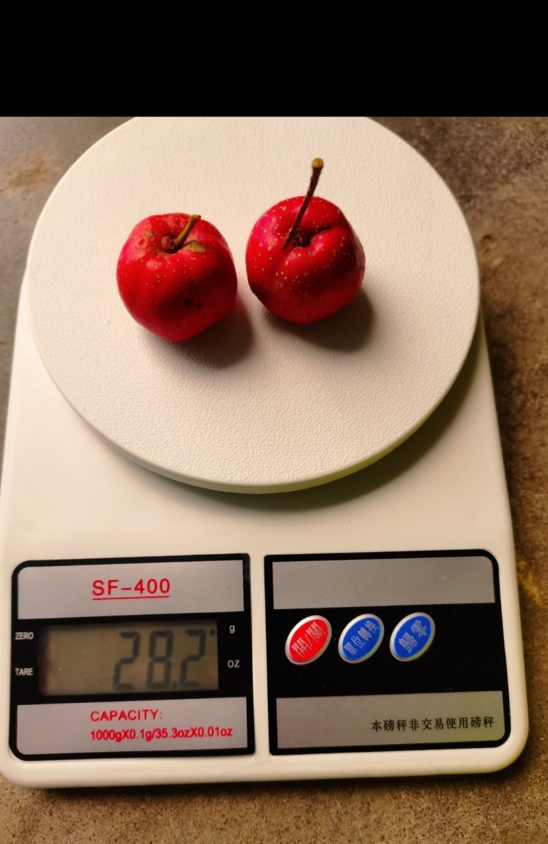 （精品特大果）甜红子50头手挑香甜可口，保证品质欢迎品鉴