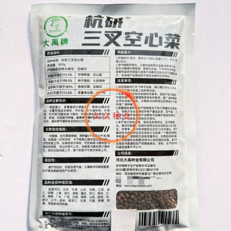 大禹杭研三叉空心菜种子株型直立粗梗脆嫩中叶空心菜种子