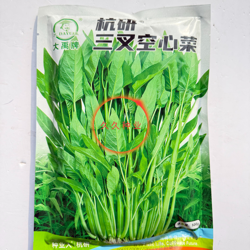 大禹杭研三叉空心菜种子株型直立粗梗脆嫩中叶空心菜种子
