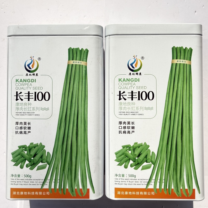 四季长豇豆种籽肉厚鲜嫩高产春秋播种长豇豆种籽大田基地种植